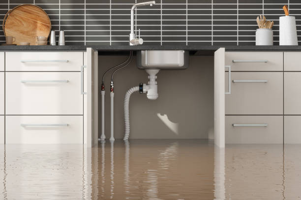 Trusted Stevenson, AL Water damage restoration Experts